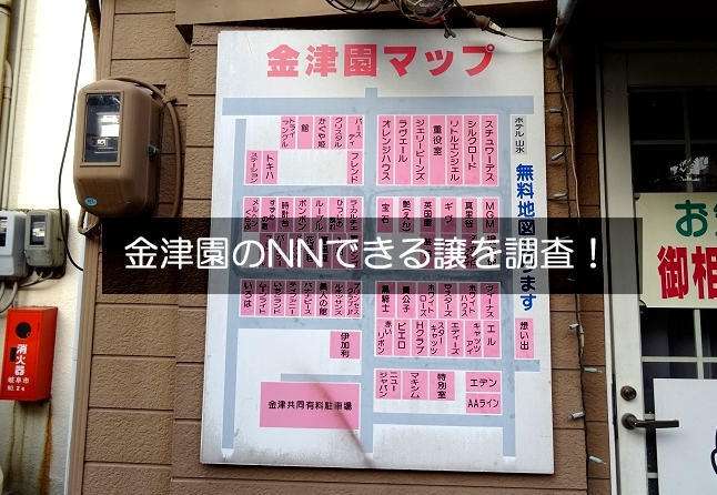 ���É��̎ʐ^